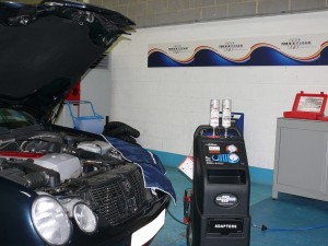 TerraCleanService (2)
