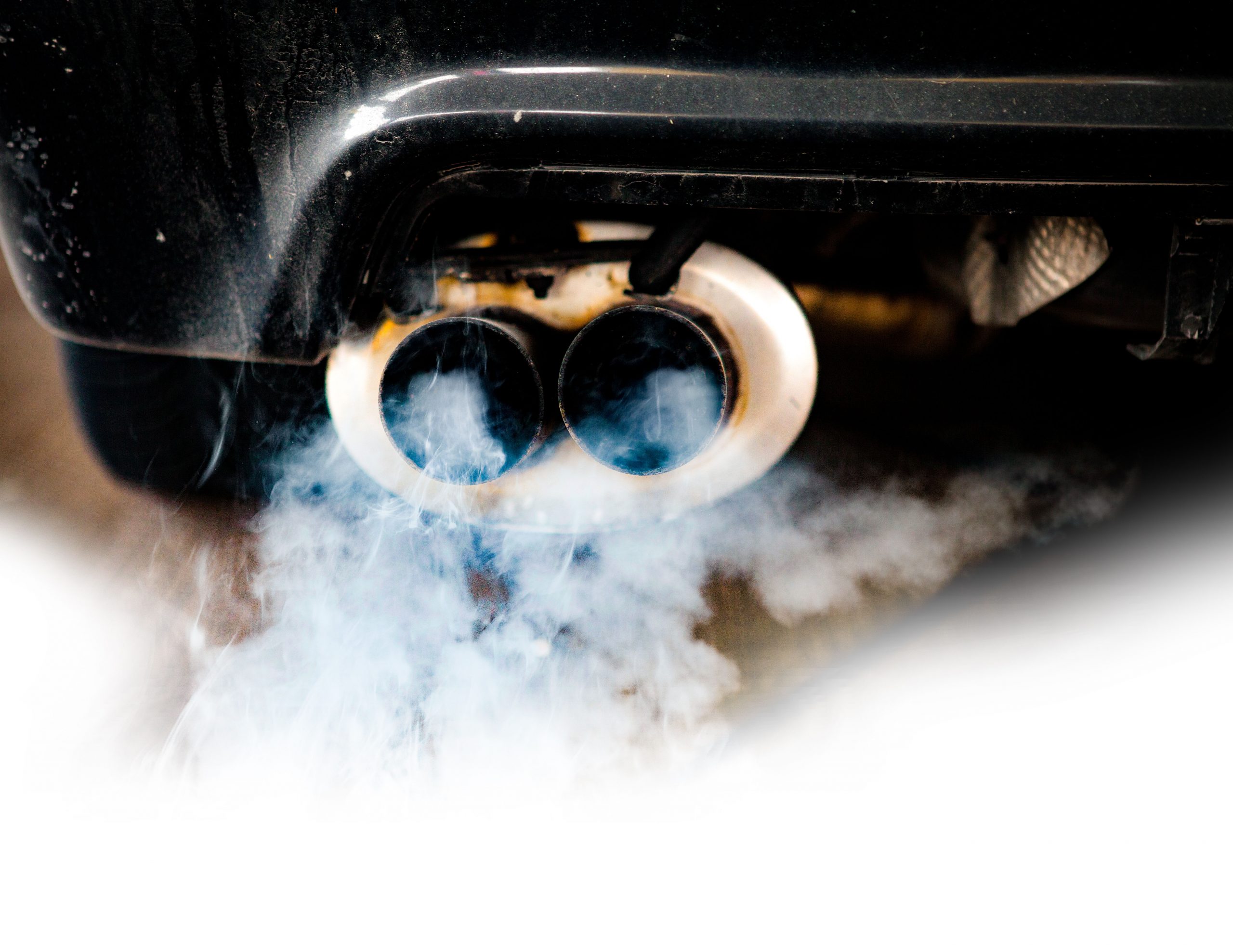 Demand for TerraClean increases as vehicles suffer from inactivity