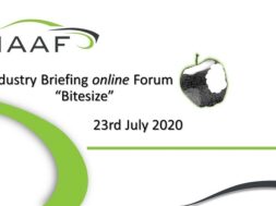 Bitesize-230720-slide-eb