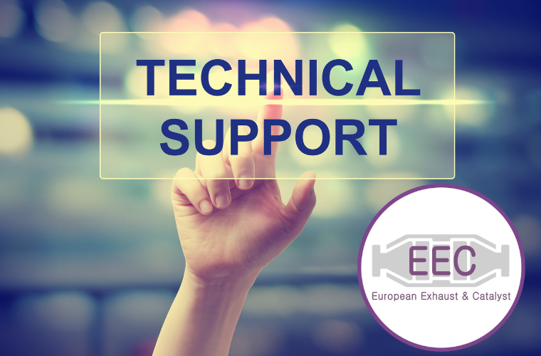 Expert Support at Every Stage