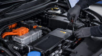PIM EV maintenance
